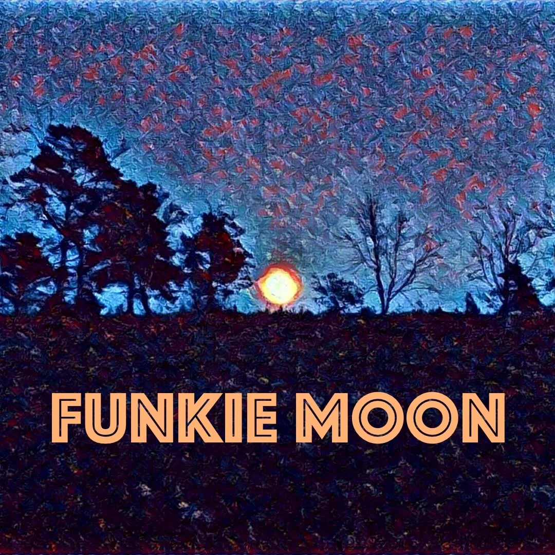 Funkie Moon | The Time Thief blog #8