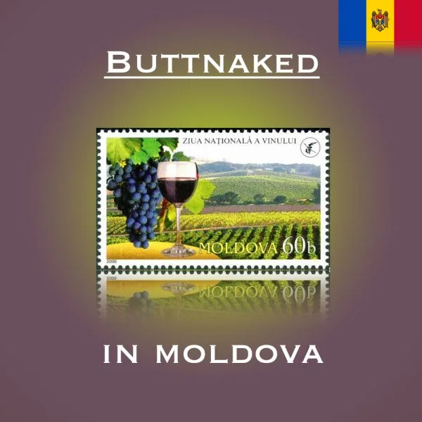 Buttnaked in Moldova | The Time Thief blog #10